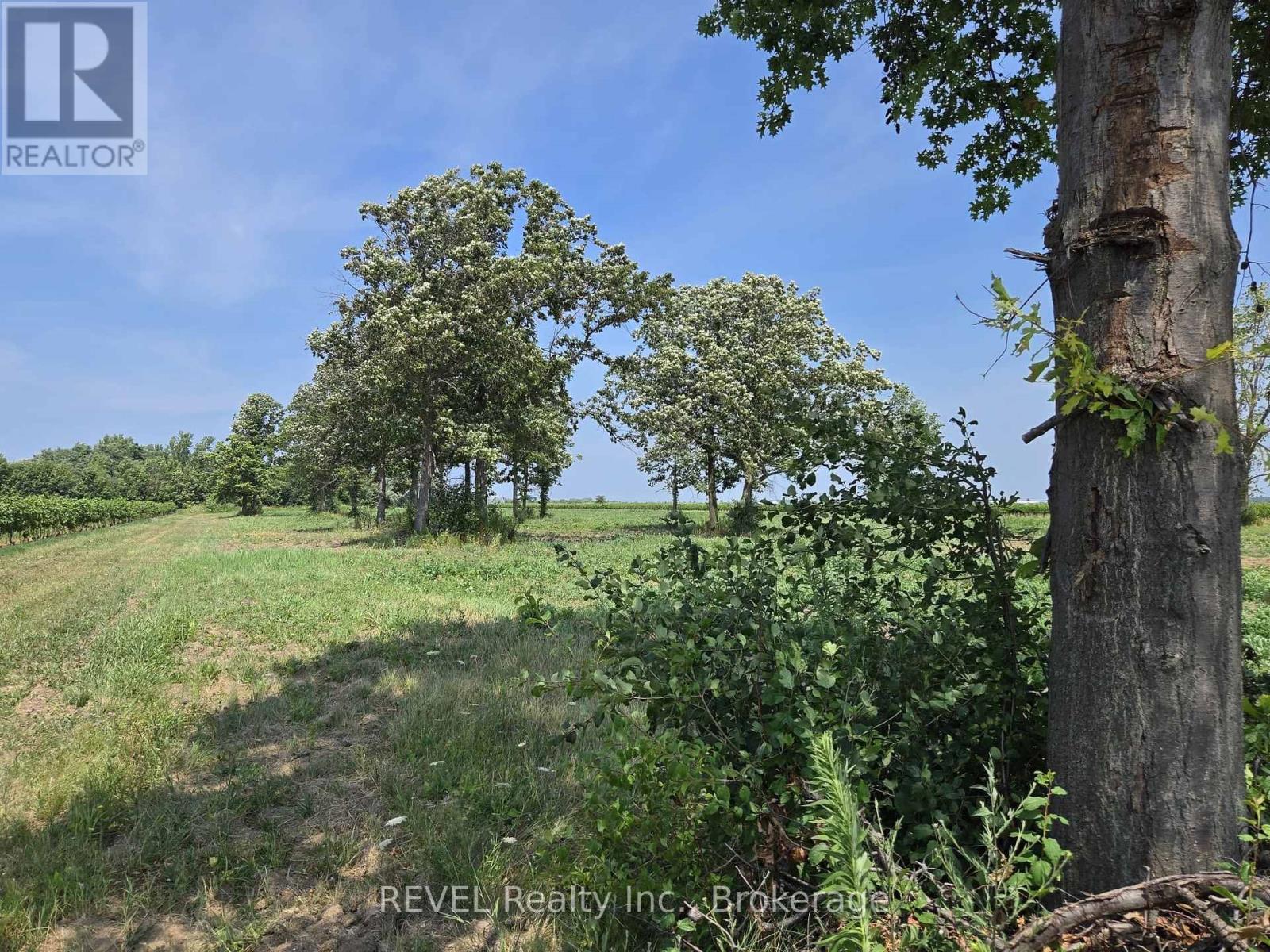 240 Eastchester Avenue, Niagara-On-The-Lake, Ontario  L0S 1J0 - Photo 13 - X12310379
