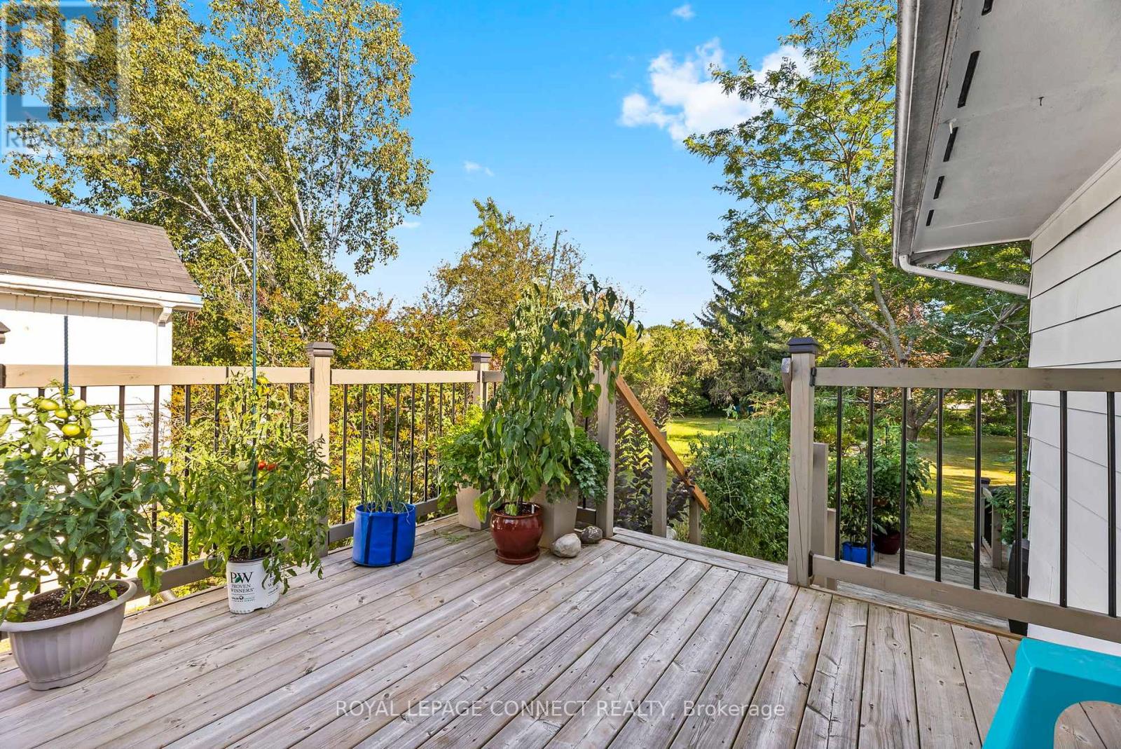 35 Lawson Road, Clarington, Ontario  L1E 2K3 - Photo 4 - E12394081