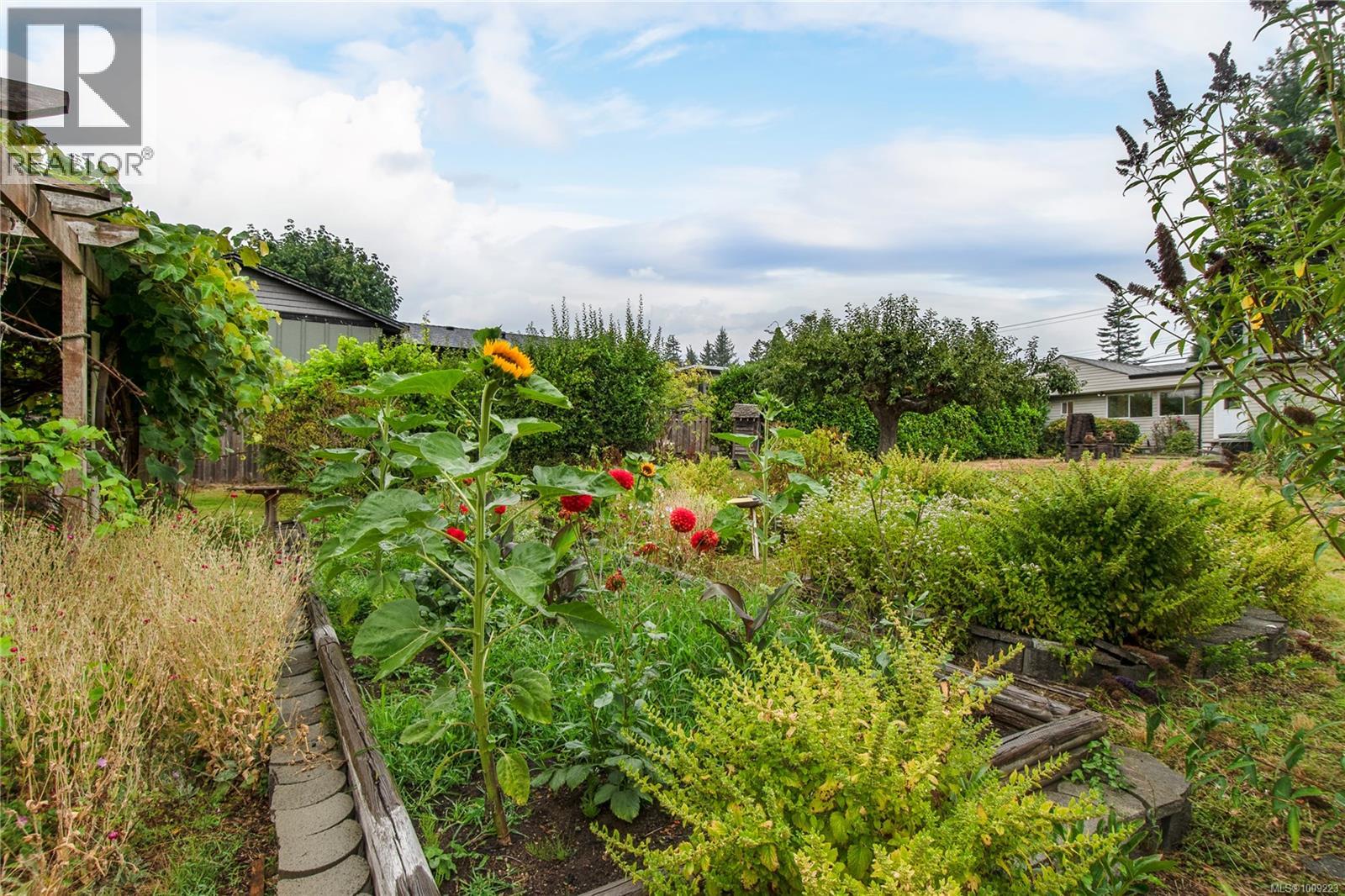3754 Island Hwy S, Campbell River, British Columbia  V9W 1M3 - Photo 53 - 1009223