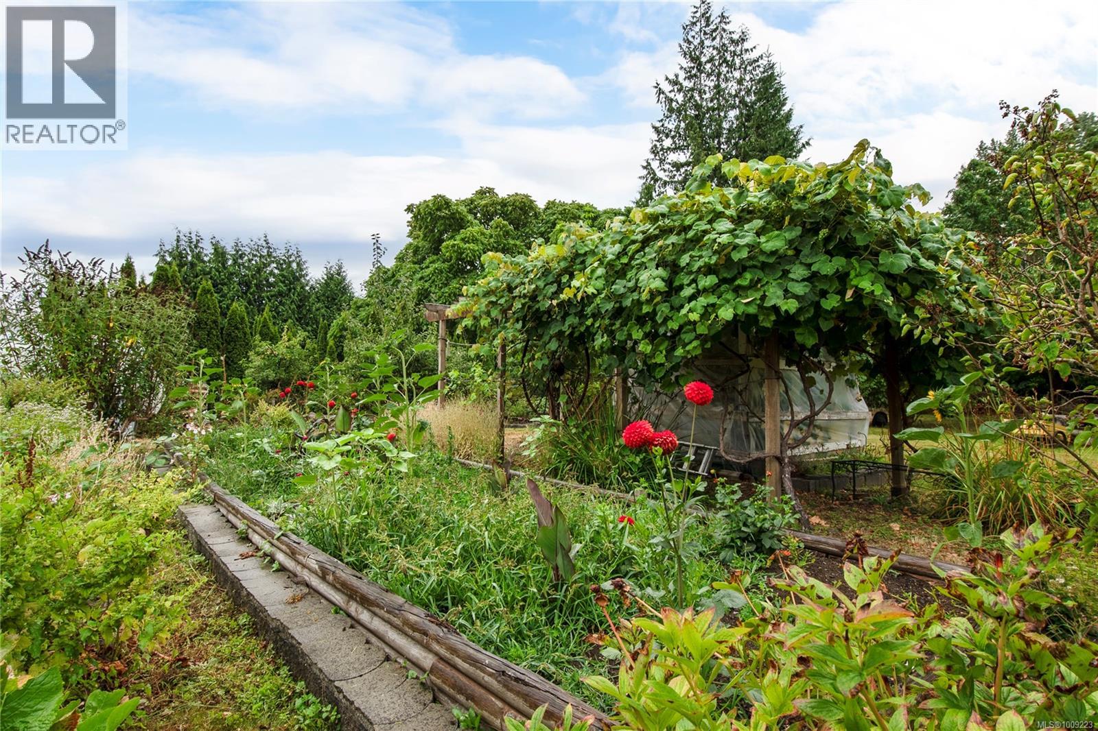 3754 Island Hwy S, Campbell River, British Columbia  V9W 1M3 - Photo 51 - 1009223