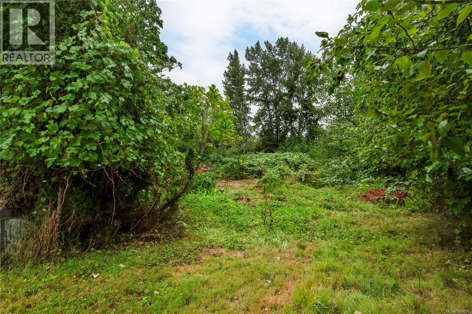 3754 Island Hwy S, Campbell River, British Columbia  V9W 1M3 - Photo 59 - 1009223