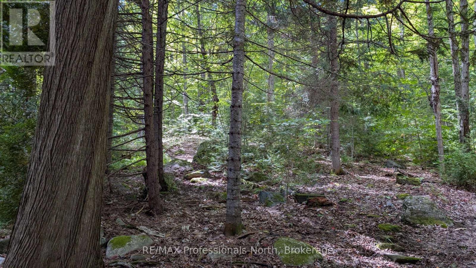 Apl1450 1115 Rock Lake Road, South Algonquin, Ontario  P0A 1H0 - Photo 18 - X12395675