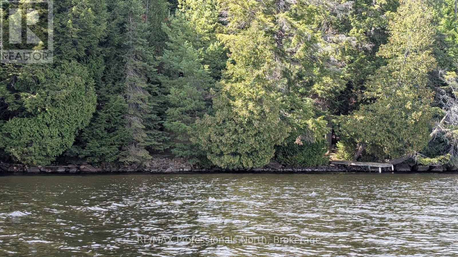 Apl1450 1115 Rock Lake Road, South Algonquin, Ontario  P0A 1H0 - Photo 22 - X12395675