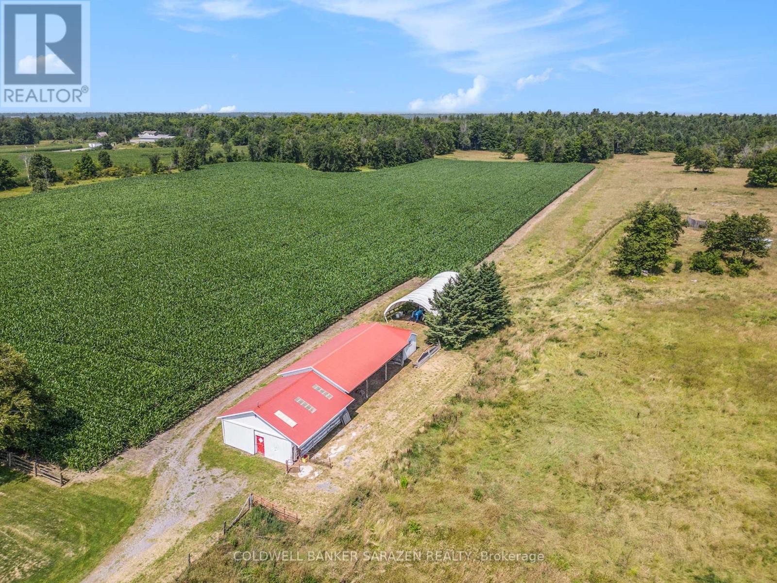 402 Scheel Drive, Mcnab/braeside, Ontario  K7S 3G8 - Photo 45 - X12395922
