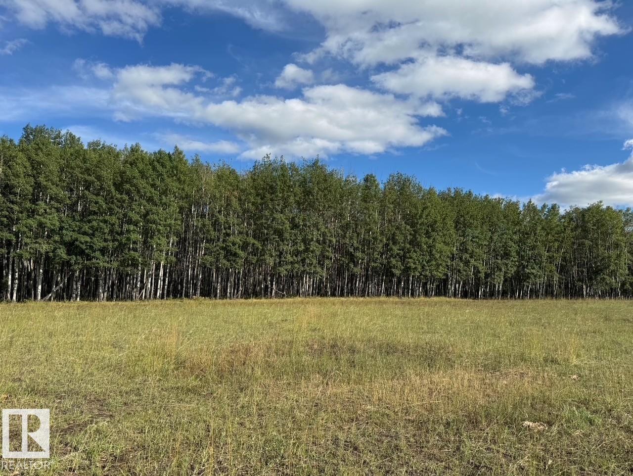 Rrd 92 Twp 542a, Rural Yellowhead, Alberta  T0E 2M0 - Photo 29 - E4457139