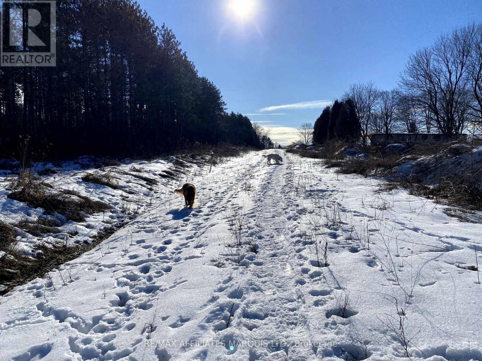 Lot Sapphire Drive N, South Glengarry, Ontario K6H 7J1 - Photo 3 - X12396207