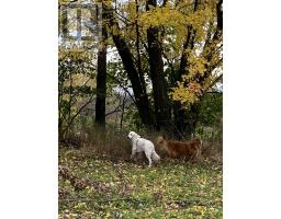 LOT SAPPHIRE DRIVE N, South Glengarry, Ontario