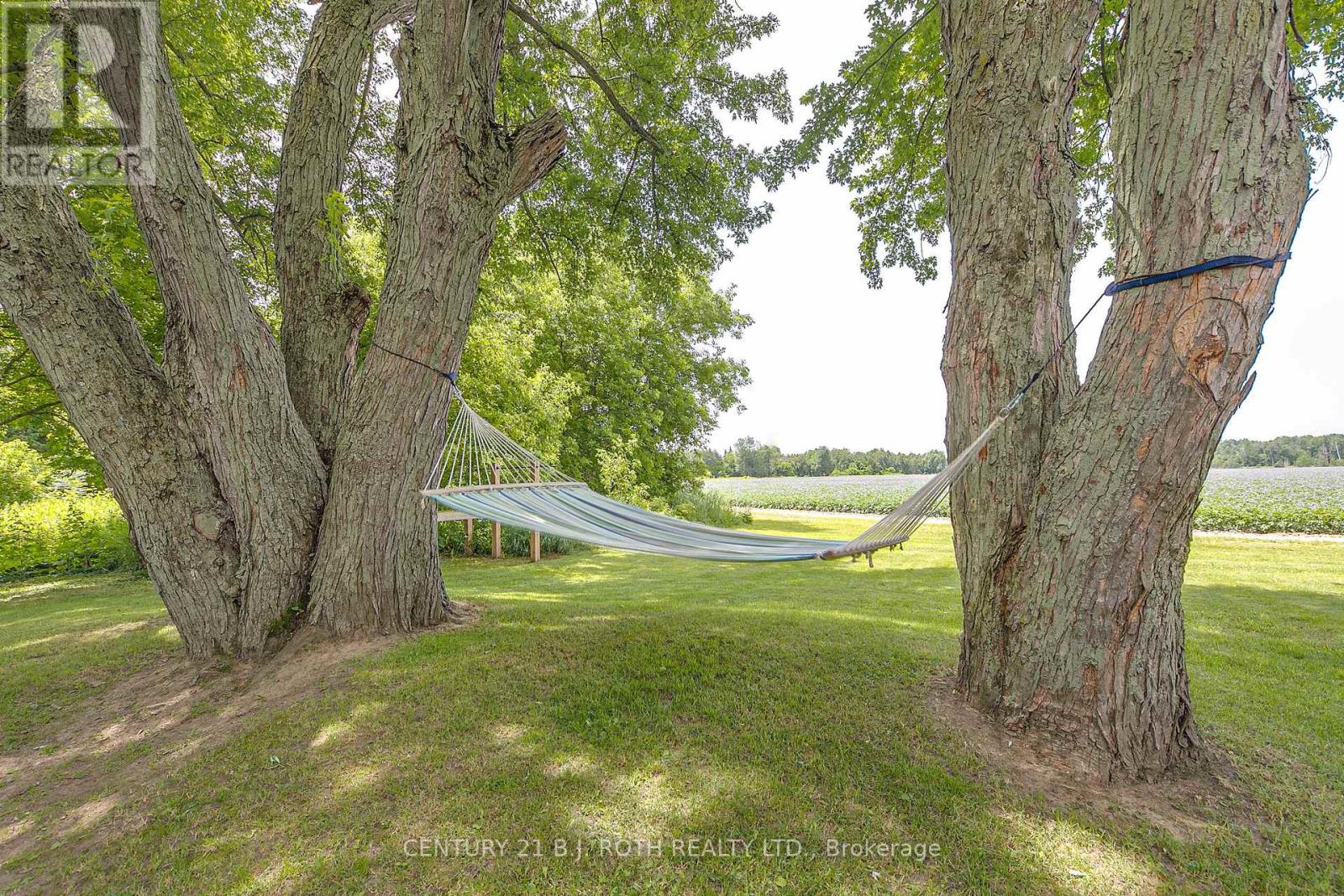 17 Denney Drive, Essa, Ontario  L0L 1N0 - Photo 6 - N12396197