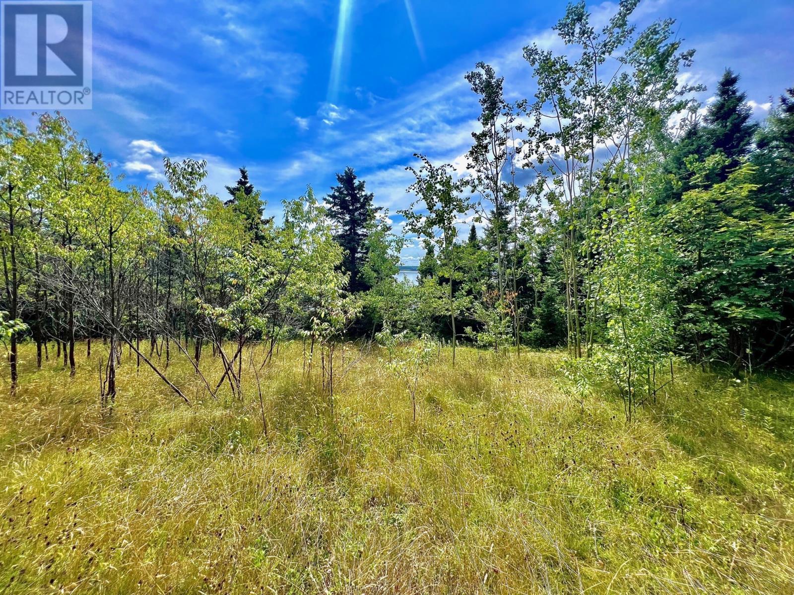 0 Goose Bay Drive, Musgravetown, Newfoundland & Labrador  A0C 1Z0 - Photo 6 - 1285437