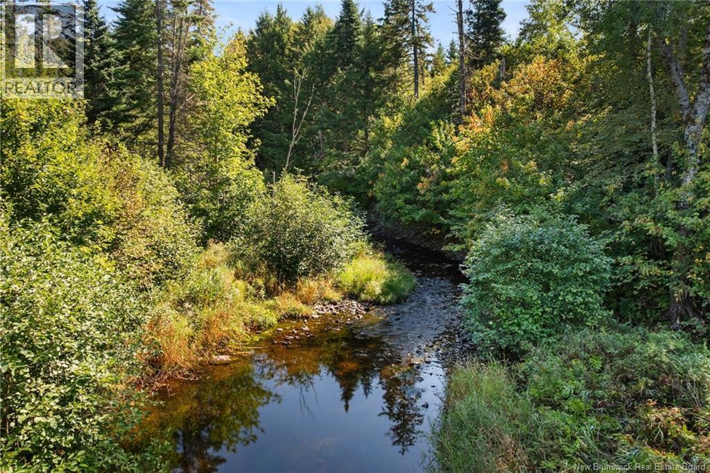 29 Route 116, Upper Salmon Creek, New Brunswick  E4A 1J6 - Photo 39 - NB126321