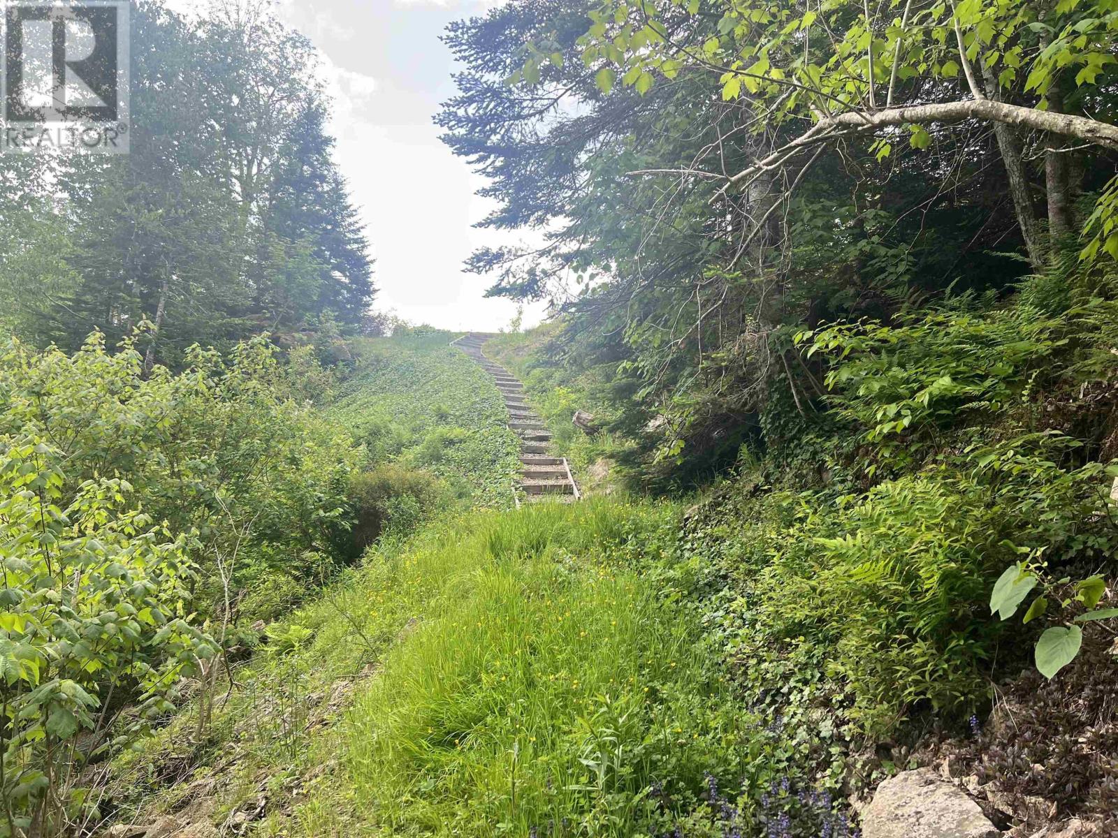 3504 Highway 311, Nuttby, Nova Scotia  B6L 6H9 - Photo 40 - 202515482