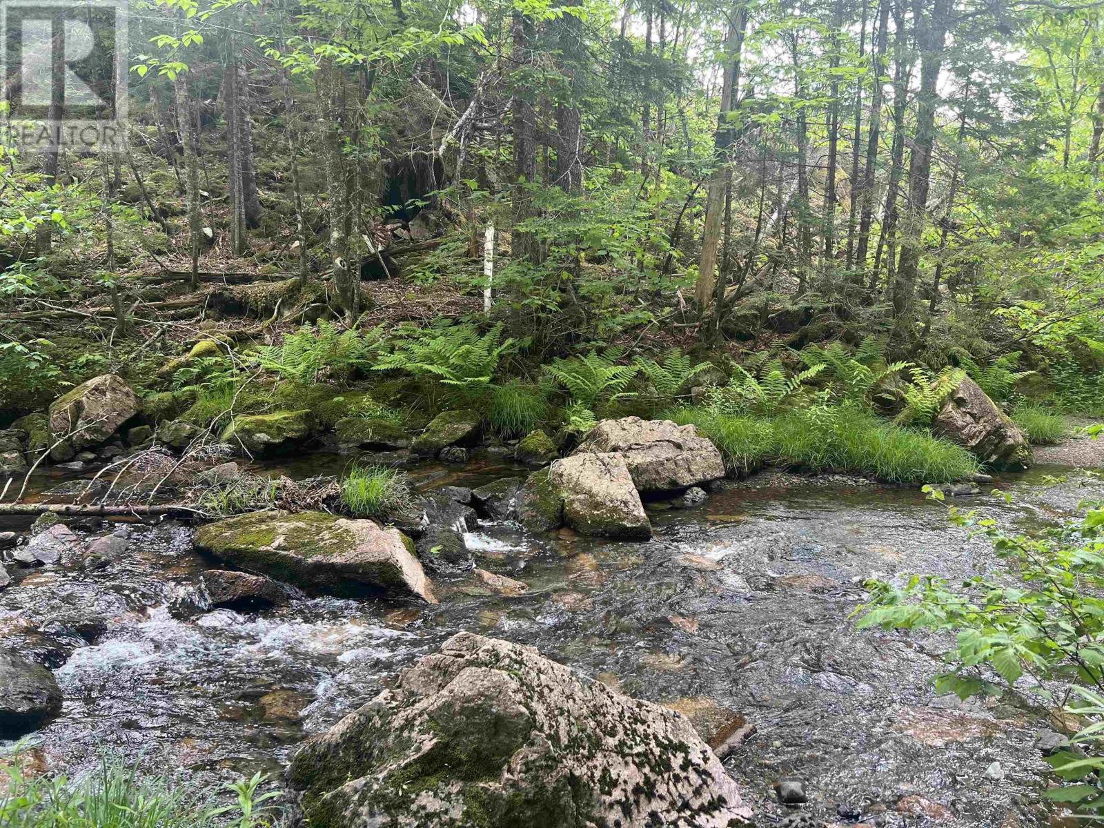 3504 Highway 311, Nuttby, Nova Scotia  B6L 6H9 - Photo 9 - 202515482