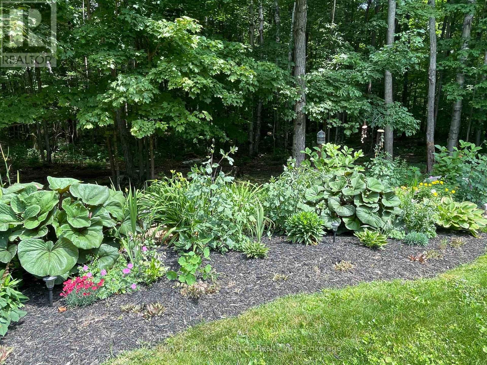 176 Ski Hill Road, Nipissing, Ontario  P0H 1Z0 - Photo 36 - X12376734