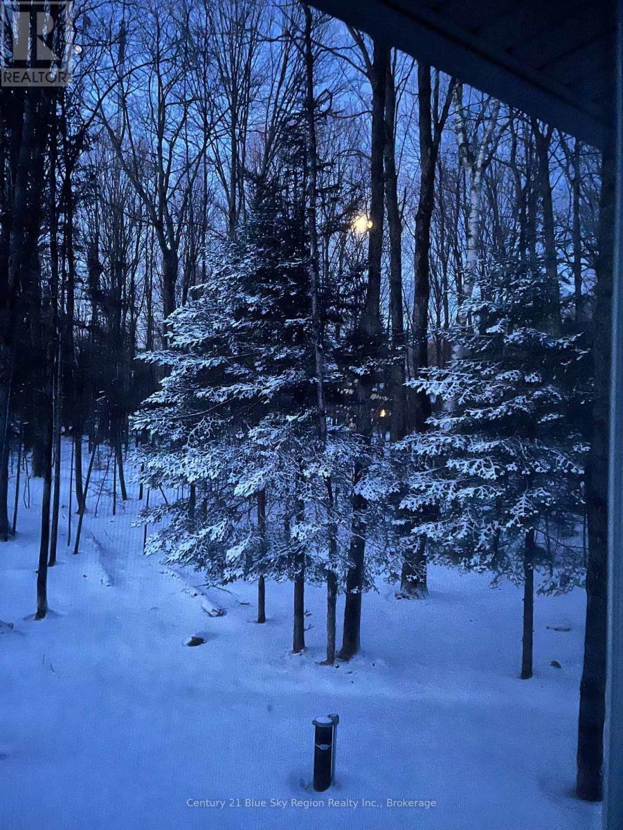 176 Ski Hill Road, Nipissing, Ontario  P0H 1Z0 - Photo 44 - X12376734