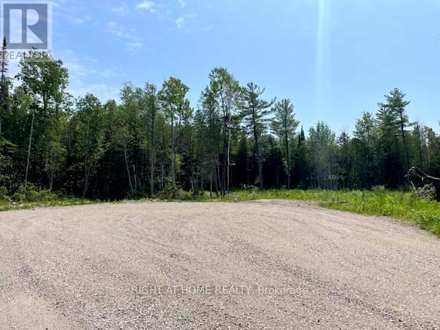 73 Lesperance Road, Tiny, Ontario  L0L 2J0 - Photo 5 - S12267798