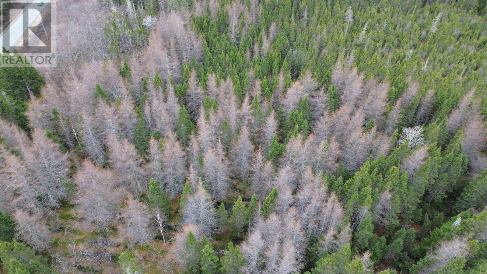 Lot 395 Highway, Ainslie Glen, Nova Scotia  B0E 3M0 - Photo 3 - 202508614