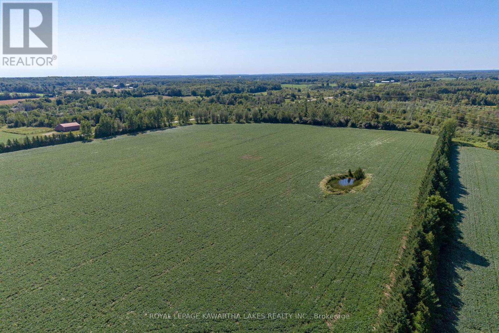 890 Woodville Road, Kawartha Lakes, Ontario  K0M 2T0 - Photo 42 - X12396313