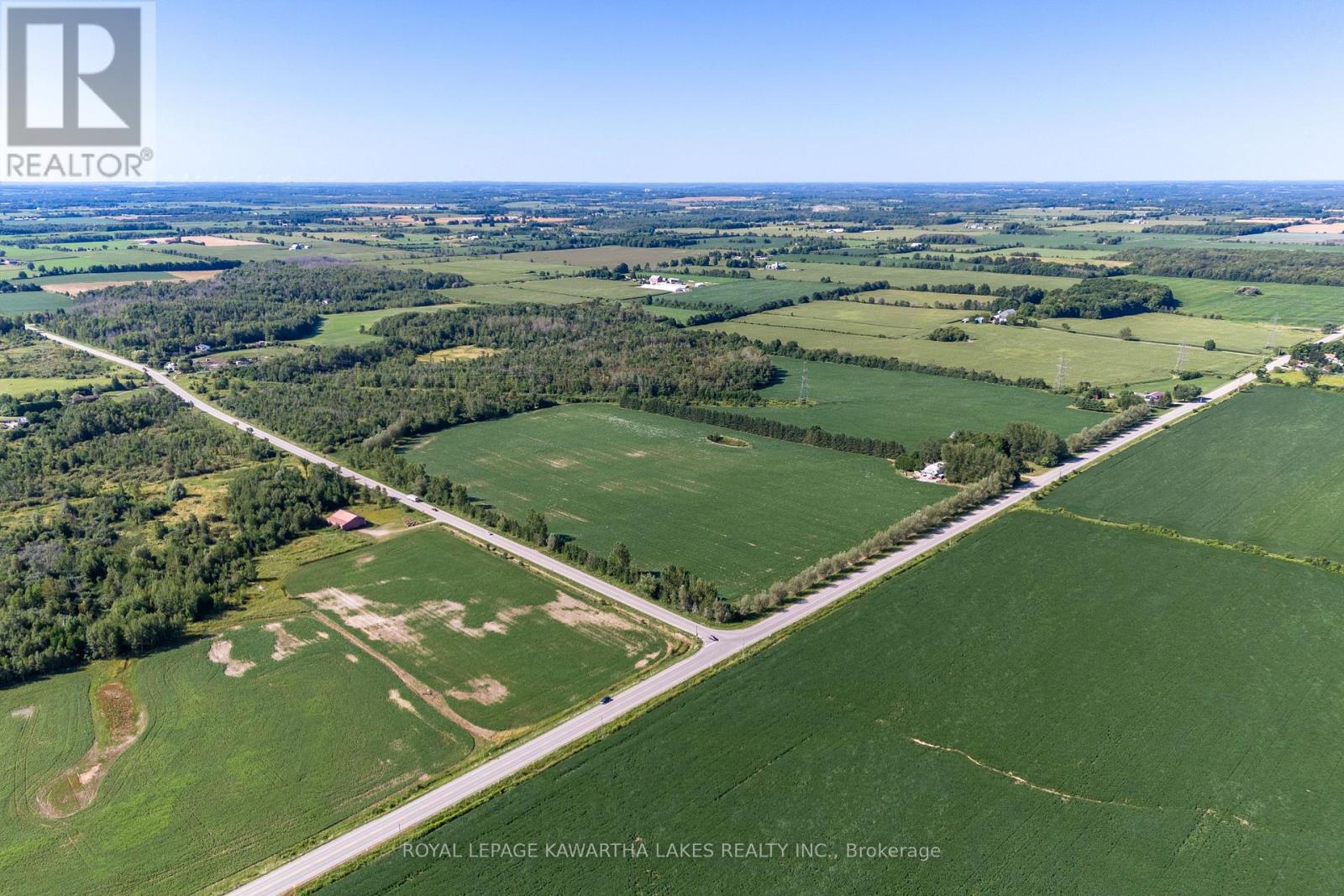 890 Woodville Road, Kawartha Lakes, Ontario  K0M 2T0 - Photo 47 - X12396313