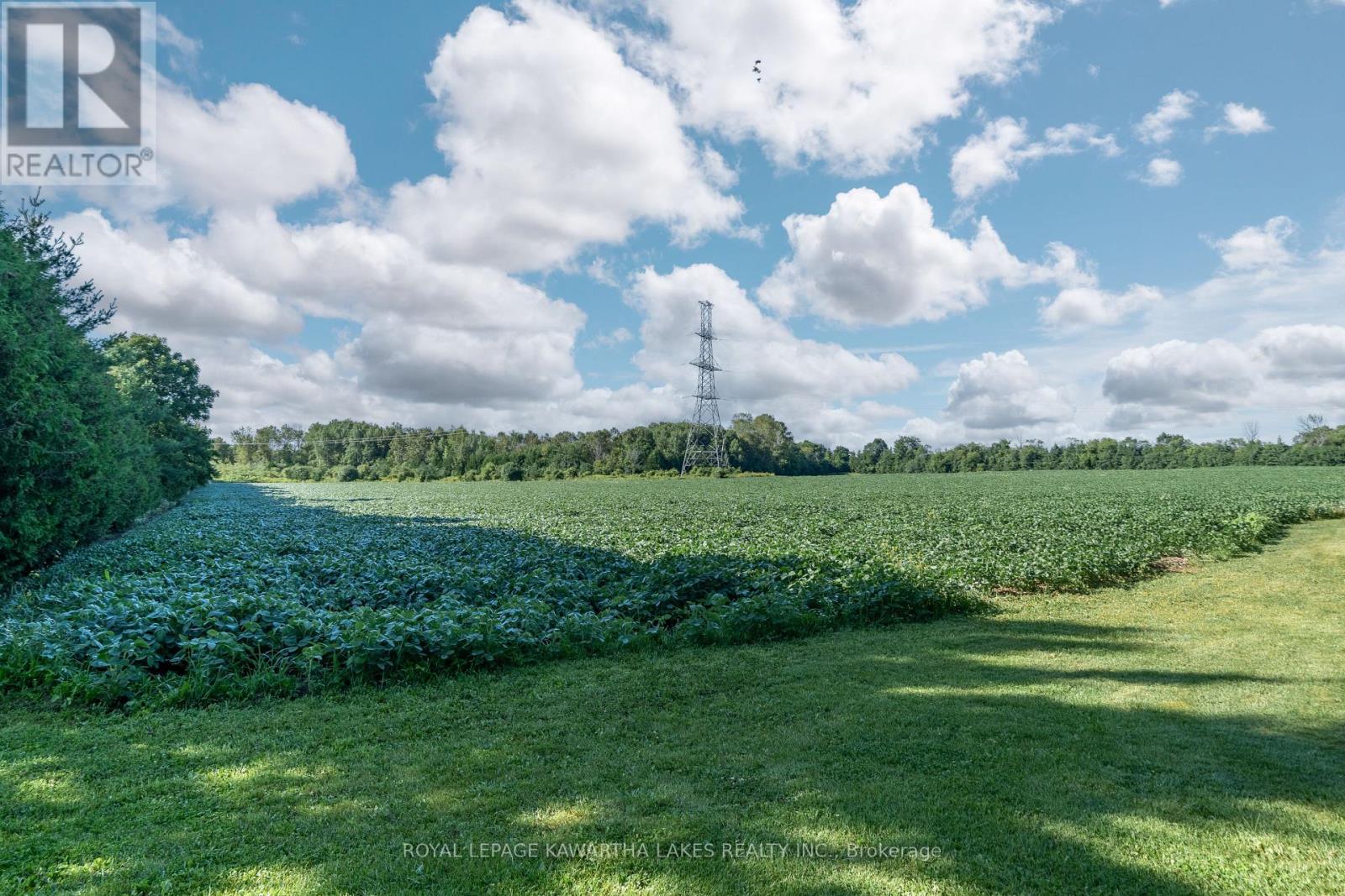 890 Woodville Road, Kawartha Lakes, Ontario  K0M 2T0 - Photo 48 - X12396313