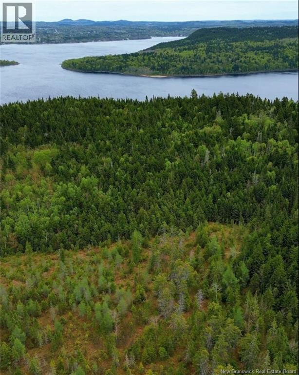 1431 845 Route, Clifton Royal, New Brunswick