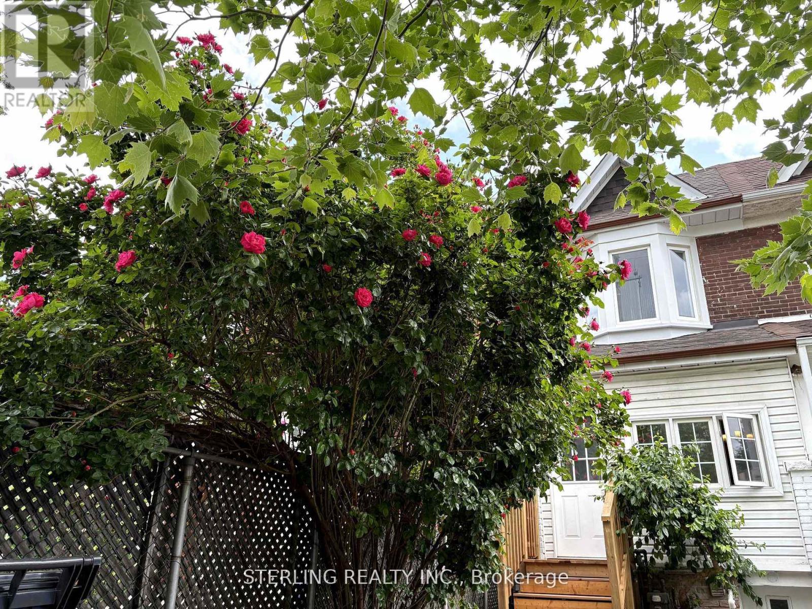 13 Auburn Avenue, Toronto, Ontario  M6H 2L6 - Photo 2 - W12396317