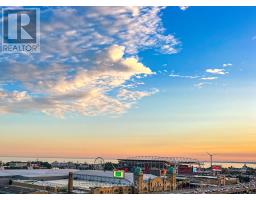1210 - 55 EAST LIBERTY STREET, Toronto, Ontario