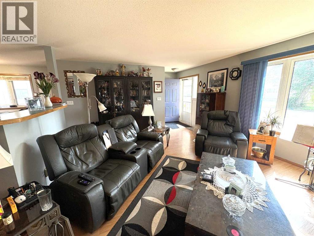 5007 46 Avenue, Forestburg, Alberta  T0B 1N0 - Photo 13 - A2254450