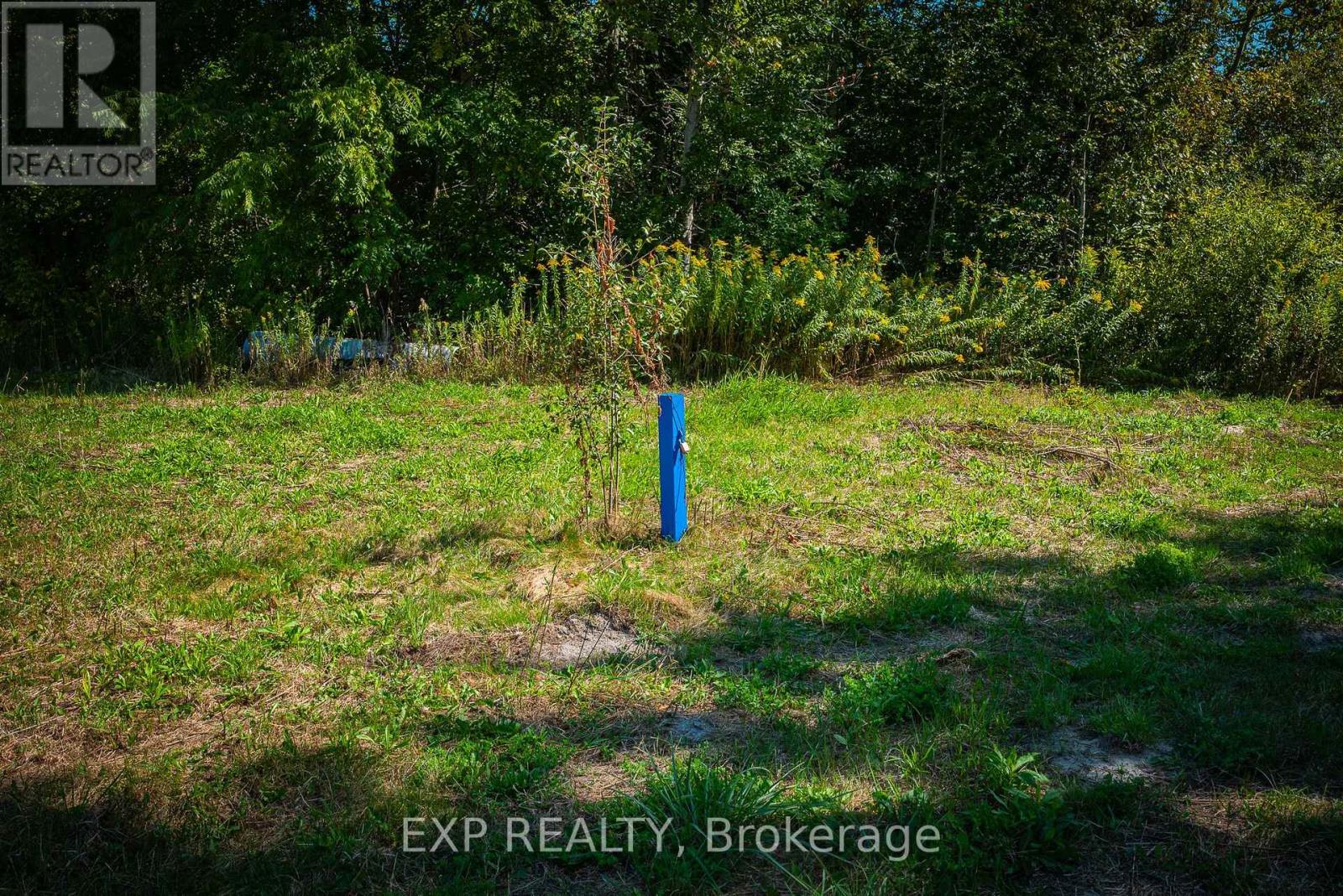 26839 Civic Centre Road, Georgina, Ontario  L4P 3E9 - Photo 16 - N12396371