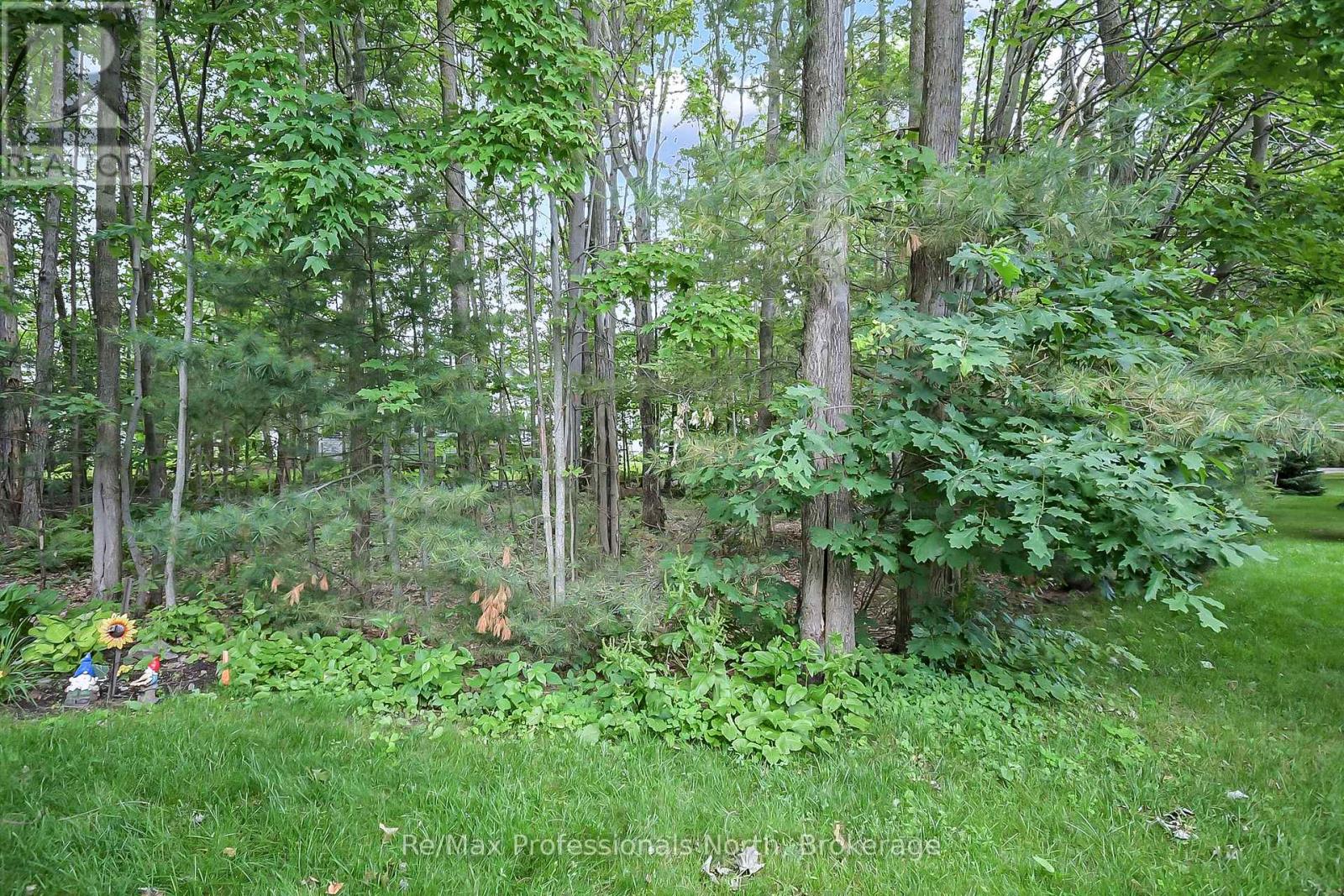 136 Hedgewood Lane, Gravenhurst, Ontario  P1P 1Z4 - Photo 33 - X12396497