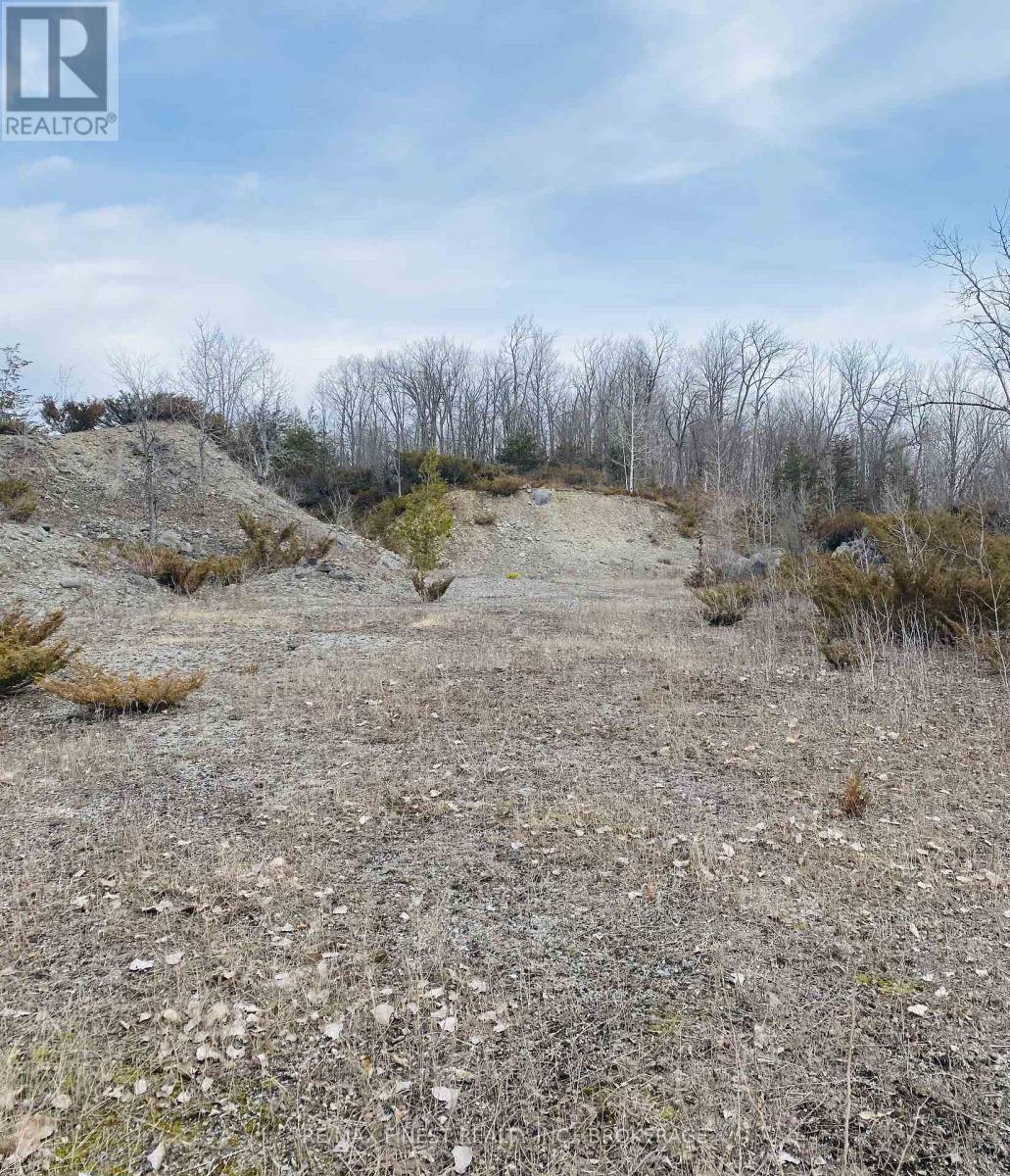180 Napanee Road, Tweed, Ontario  K0K 2L0 - Photo 46 - X12396742