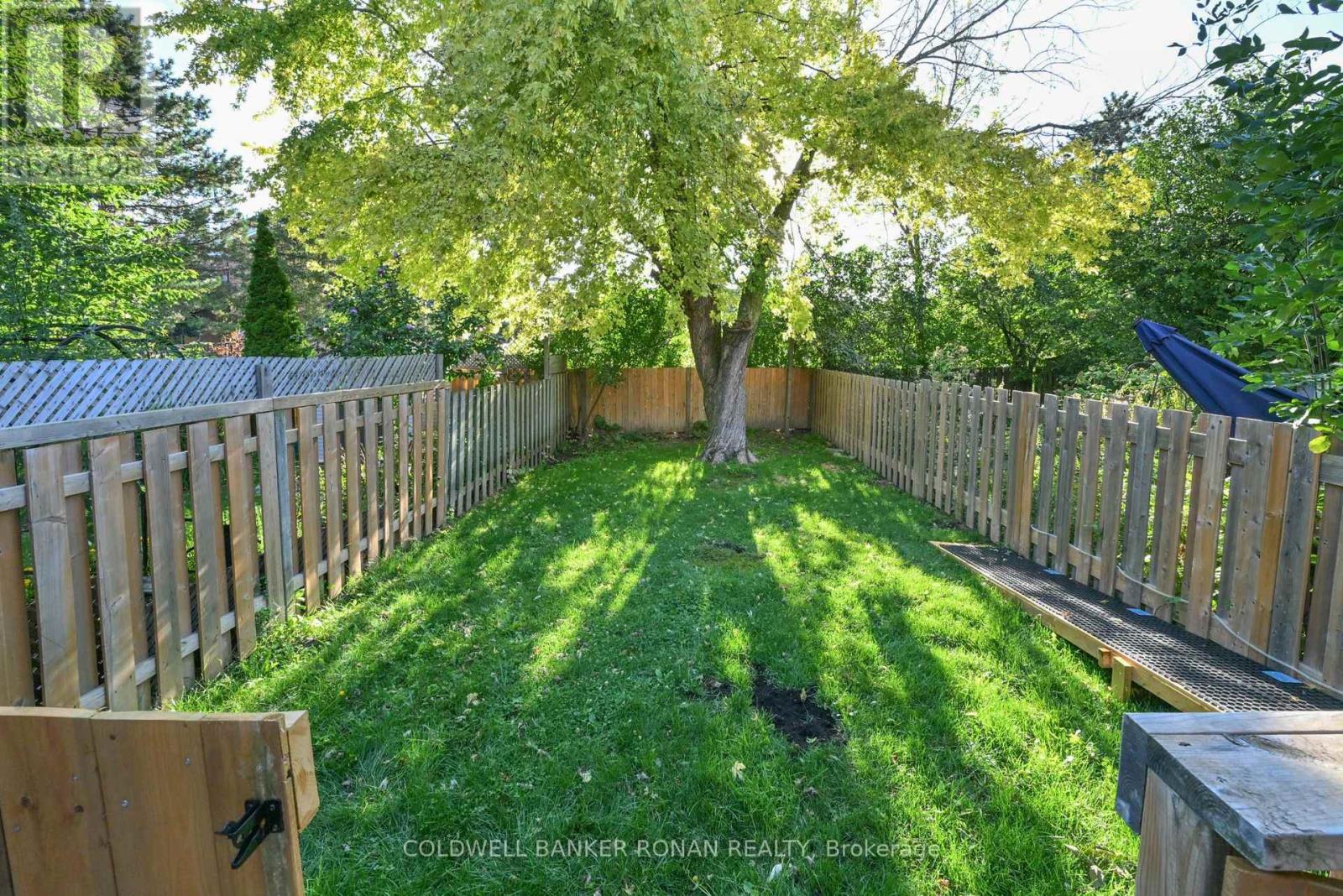 146 Heydon Avenue, New Tecumseth, Ontario  L9R 1P1 - Photo 25 - N12396514