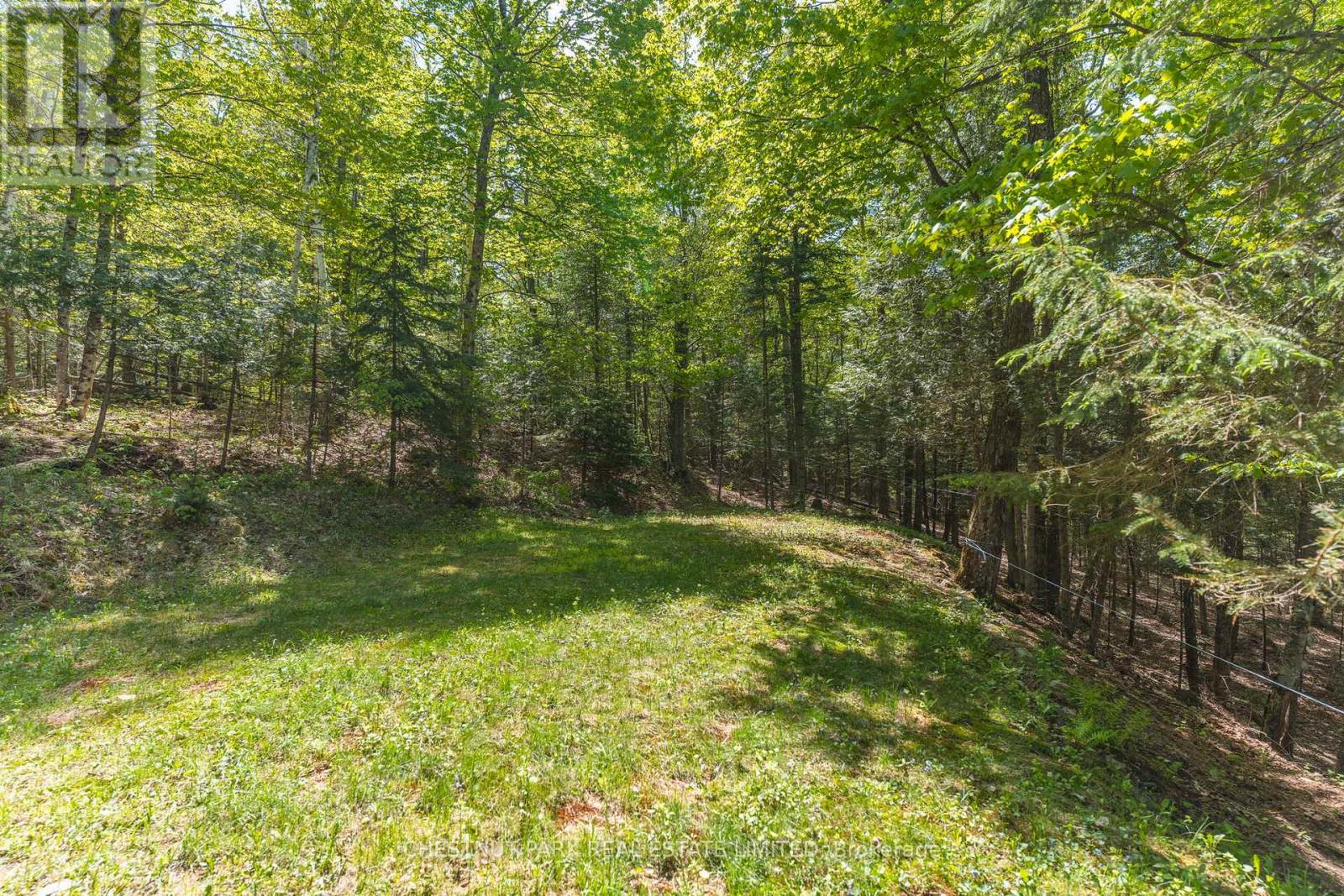 1316 Sir Sam's Road, Dysart Et Al (Guilford), Ontario  K0M 1M0 - Photo 26 - X12396516