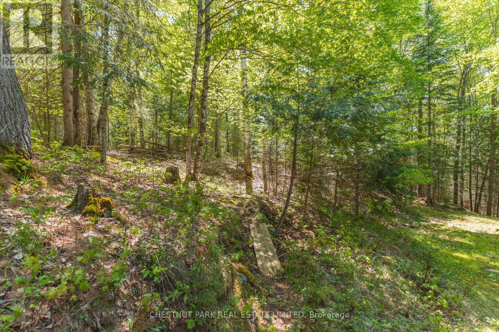 1316 Sir Sam's Road, Dysart Et Al (Guilford), Ontario  K0M 1M0 - Photo 29 - X12396516