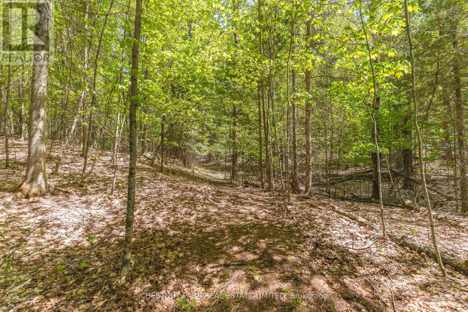 1316 Sir Sam's Road, Dysart Et Al (Guilford), Ontario  K0M 1M0 - Photo 30 - X12396516