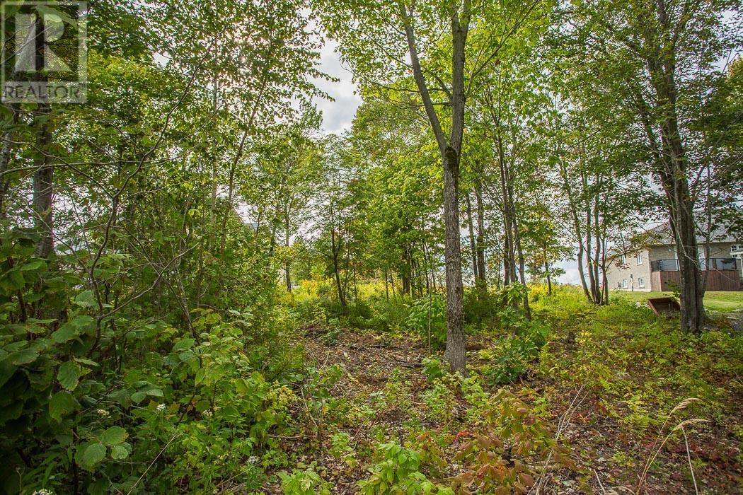 19 Lighthouse Point Dr, Thessalon, Ontario  P0R 1L0 - Photo 19 - SM251030
