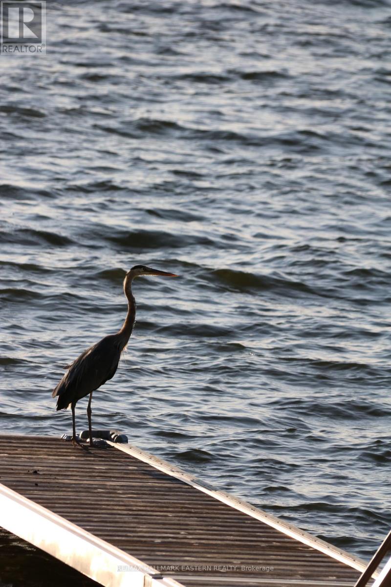 134 - 362 7th Line Road, Alnwick/haldimand, Ontario  K0K 2X0 - Photo 35 - X12396820