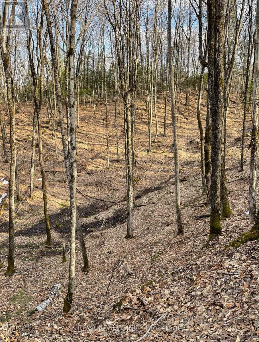 0 Rallison Road, Faraday, Ontario  K0L 2L0 - Photo 1 - X12397083