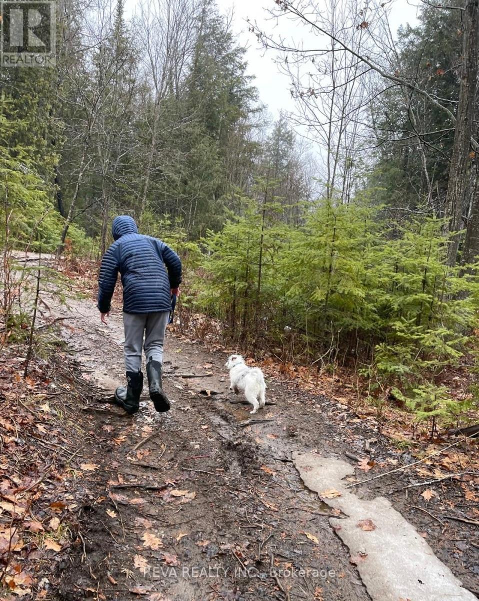 0 Rallison Road, Faraday, Ontario  K0L 2L0 - Photo 2 - X12397083