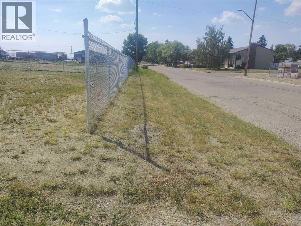 309 1st Avenue, Bassano, Alberta  T0J 0B0 - Photo 12 - A2190171