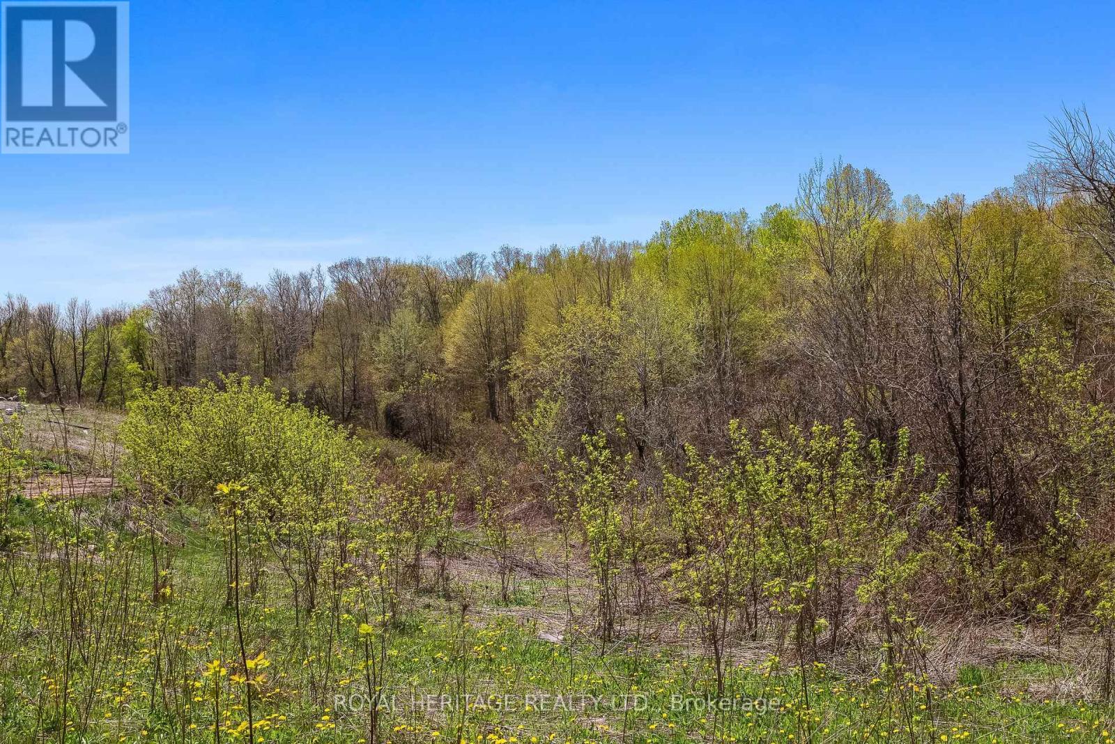 150 Long Reach Road, Brighton, Ontario  K0K 1H0 - Photo 47 - X12397131