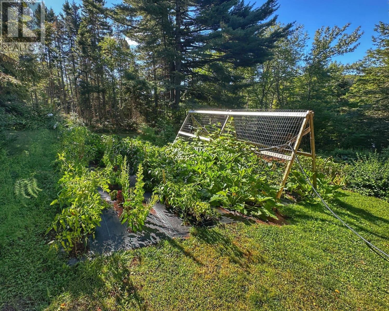 2159 Trout River Road, Millvale, Prince Edward Island  C0A 1E0 - Photo 23 - 202523058