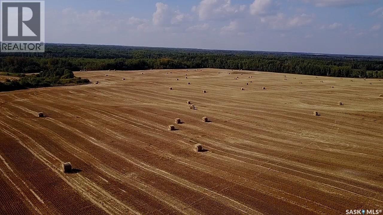 Mills Farm Land, Preeceville Rm No. 334, Saskatchewan  S0A 0A2 - Photo 32 - SK998734