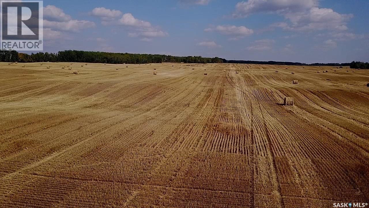 Mills Farm Land, Preeceville Rm No. 334, Saskatchewan  S0A 0A2 - Photo 5 - SK998734