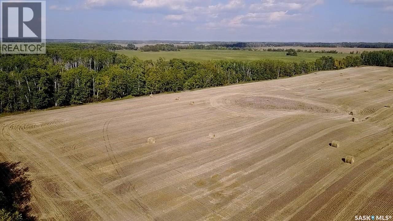 Mills Farm Land, Preeceville Rm No. 334, Saskatchewan  S0A 0A2 - Photo 18 - SK998734