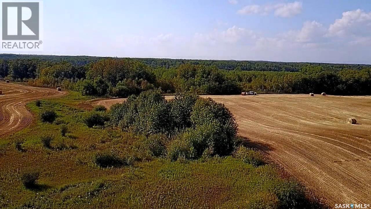 Mills Farm Land, Preeceville Rm No. 334, Saskatchewan  S0A 0A2 - Photo 12 - SK998734