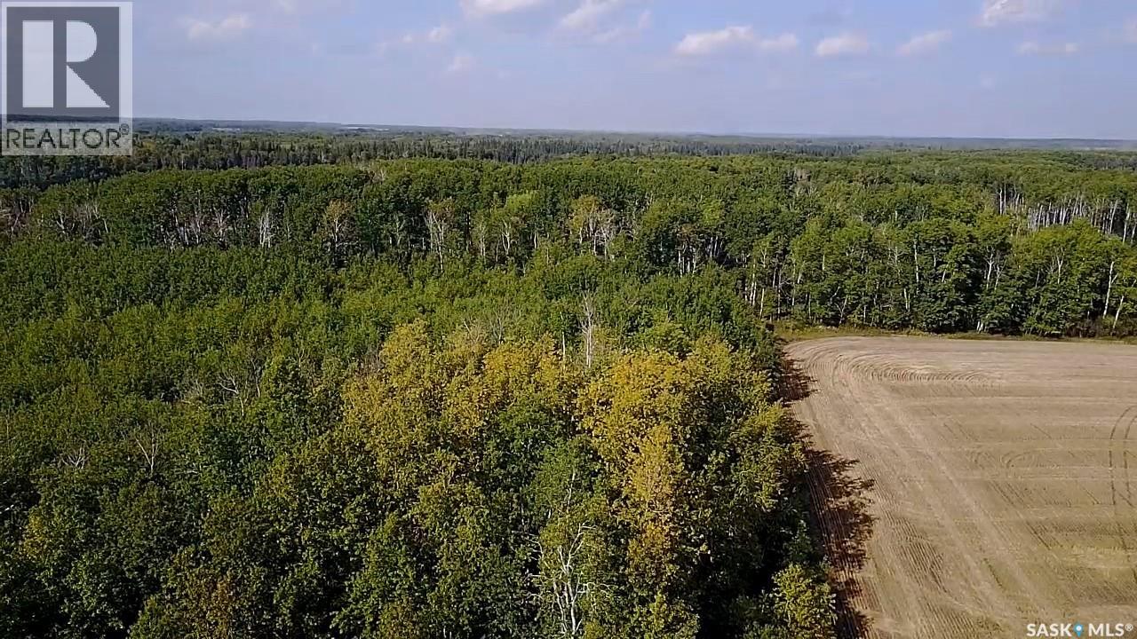 Mills Farm Land, Preeceville Rm No. 334, Saskatchewan  S0A 0A2 - Photo 17 - SK998734