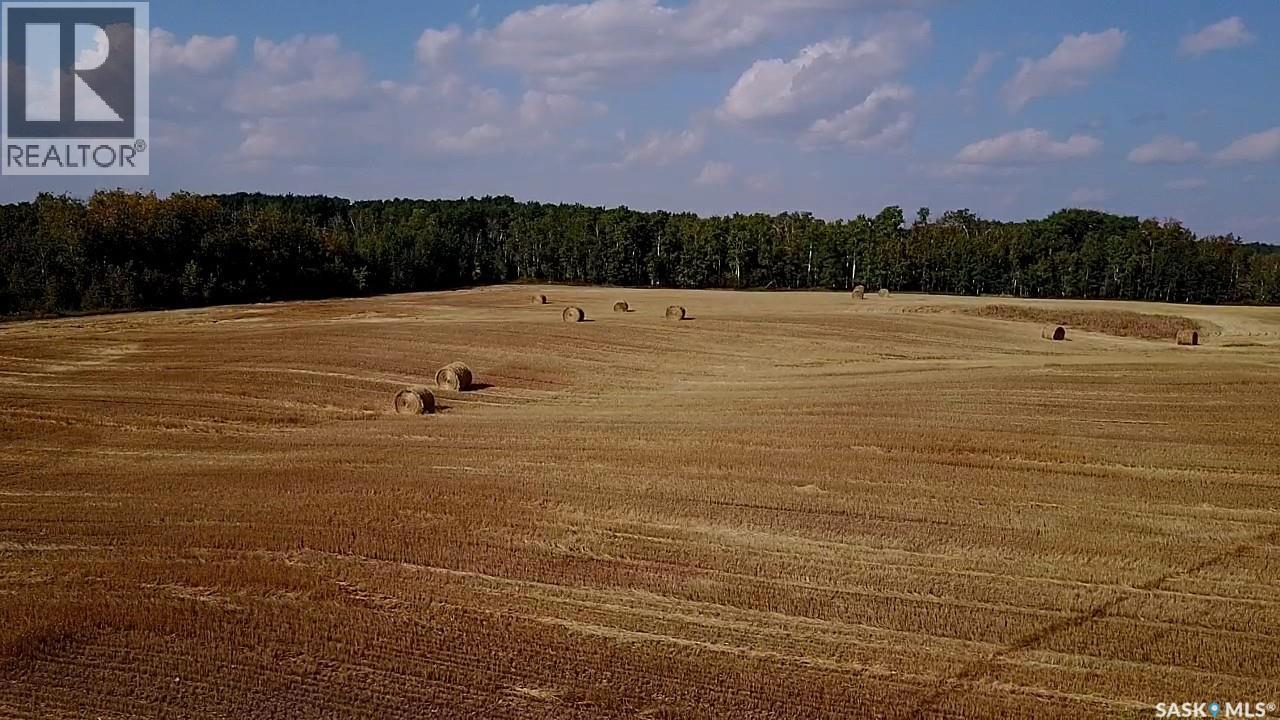 Mills Farm Land, Preeceville Rm No. 334, Saskatchewan  S0A 0A2 - Photo 14 - SK998734