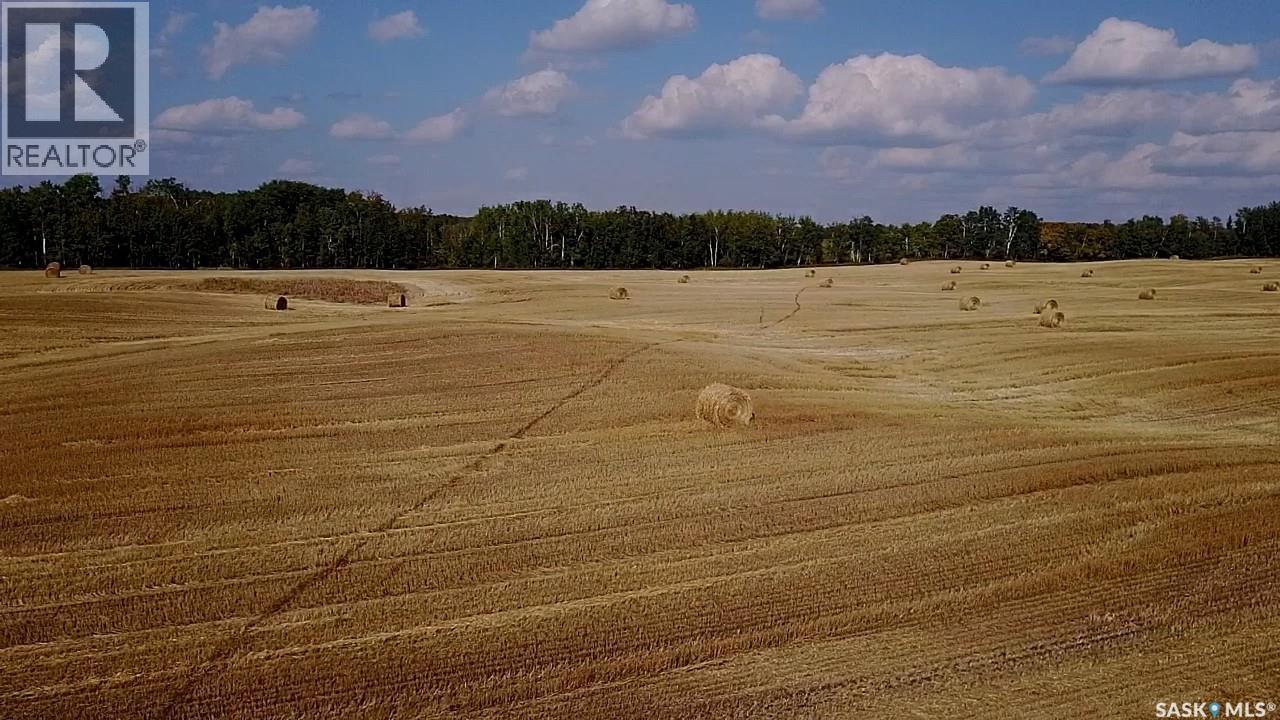 Mills Farm Land, Preeceville Rm No. 334, Saskatchewan  S0A 0A2 - Photo 15 - SK998734