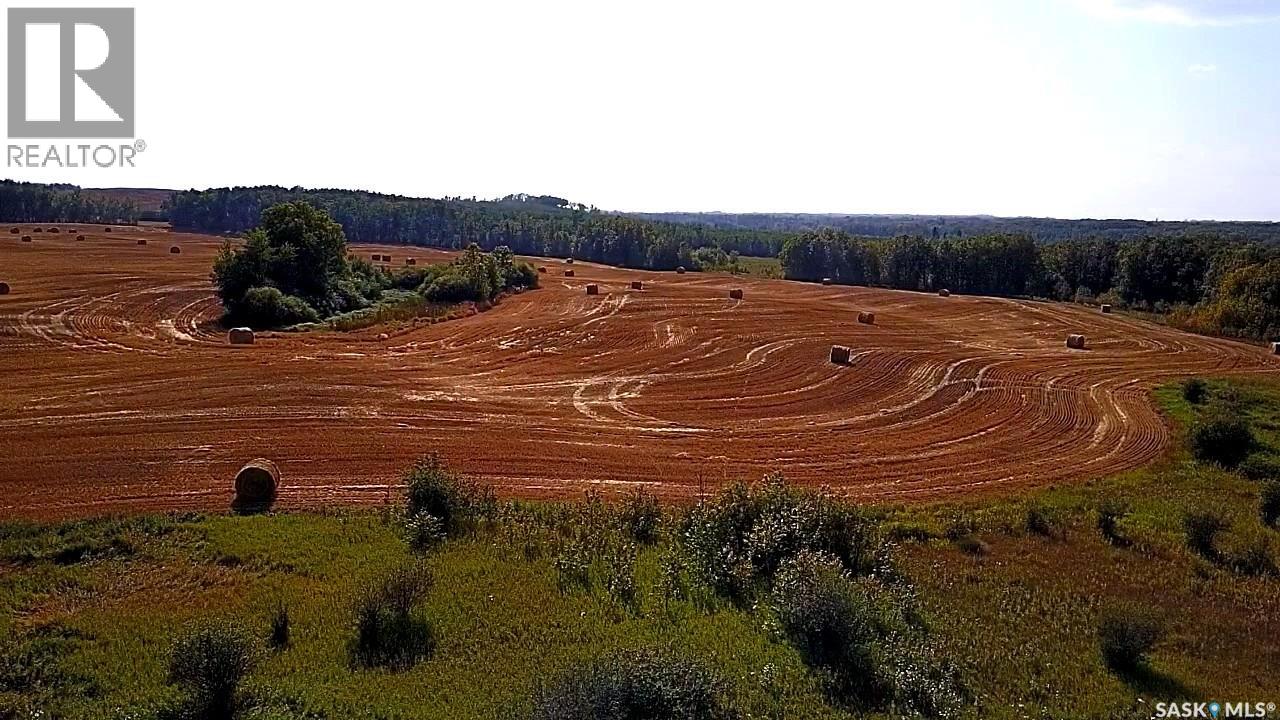 Mills Farm Land, Preeceville Rm No. 334, Saskatchewan  S0A 0A2 - Photo 11 - SK998734
