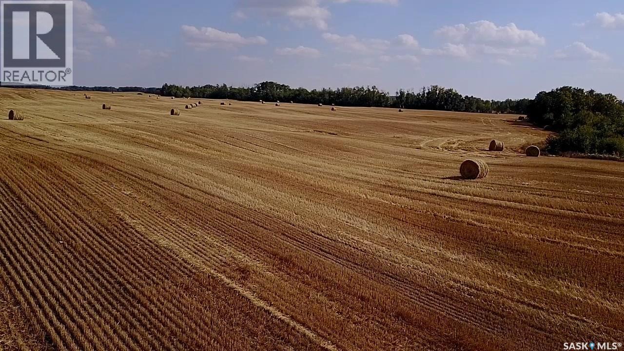 Mills Farm Land, Preeceville Rm No. 334, Saskatchewan  S0A 0A2 - Photo 7 - SK998734